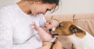 Mother Introducing Dog To Baby