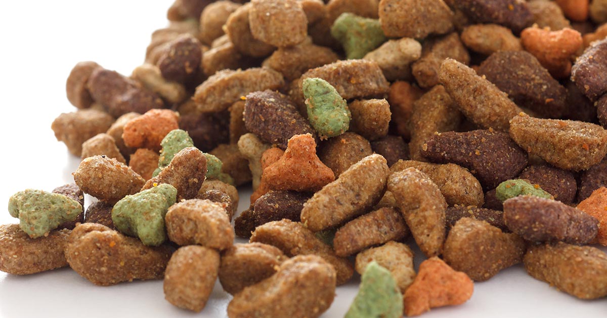 Dry Dog Food And Improving The Quality Of Kibble Thomaston Feed