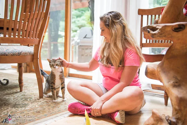 How Pet Sitter Fort Lauderdale can Save You Time, Stress, and Money.