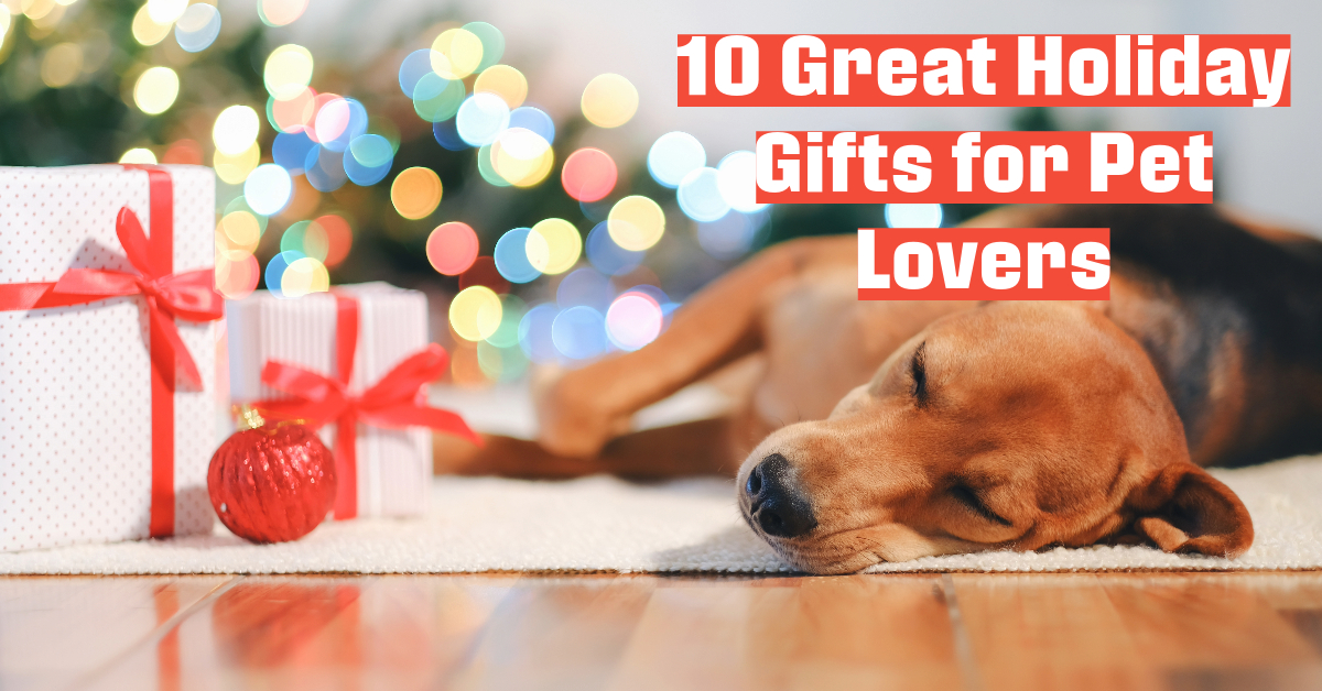 Top 10 Christmas Gifts for Dogs