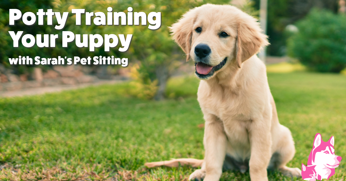 Potty training your puppy with Sarah's Pet Sitting