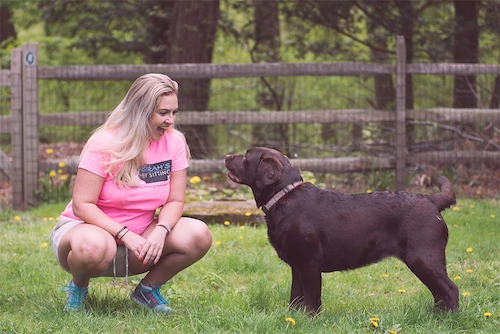 SPS3 (optimized WebP of media 12501) Pet sitter in Cheshire crouching with a chocolate Labrador by a wooden fence